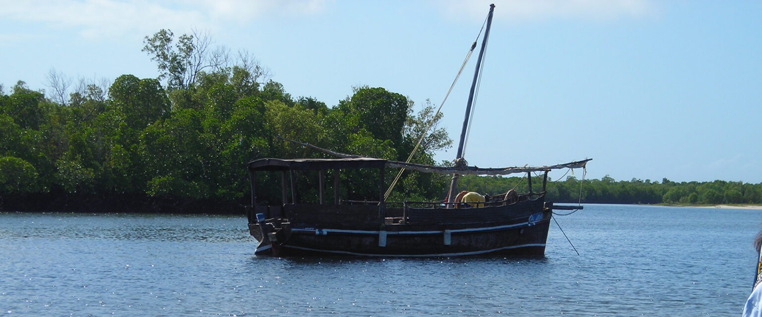 1 Day Funzi Island Dhow Excursion | Funzi Sandbank & Kinazini Canoe Tour | Travel Tamaro Adventures