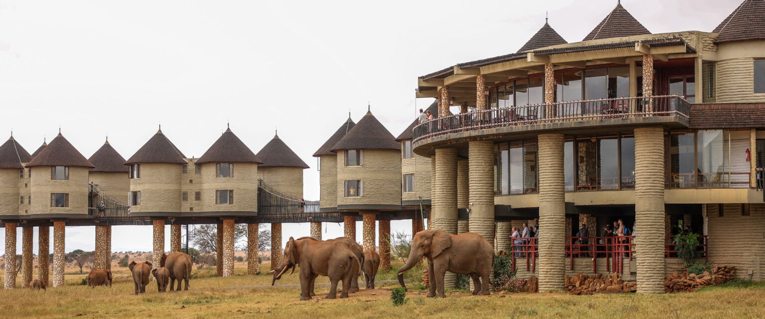 2 Days Tsavo East & Salt Lick Safari from Mombasa & Diani