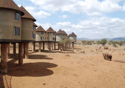 4 Days Tsavo East – Satao-Severin -Saltlick