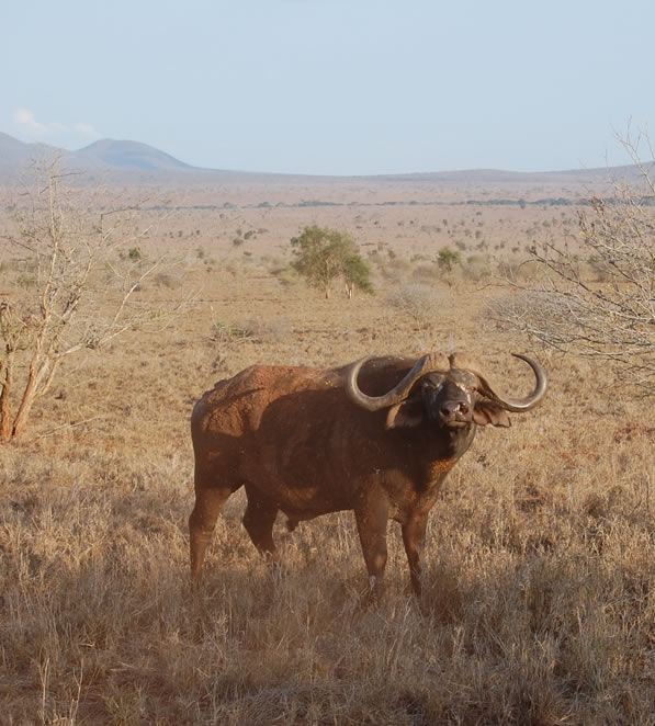 8 Days_Indian_Ocean _ Saltlick game sanctuary_2